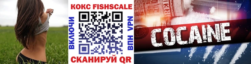 COCAIN Fish Scale  купить наркотик  гидра ONION  Добрянка 