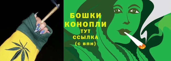 дурь Нея