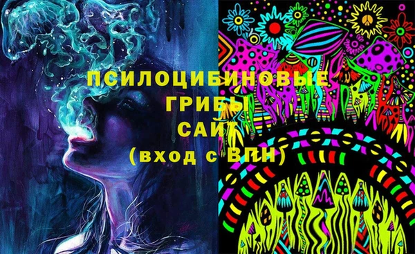 дурь Нея