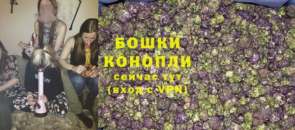 дурь Нея
