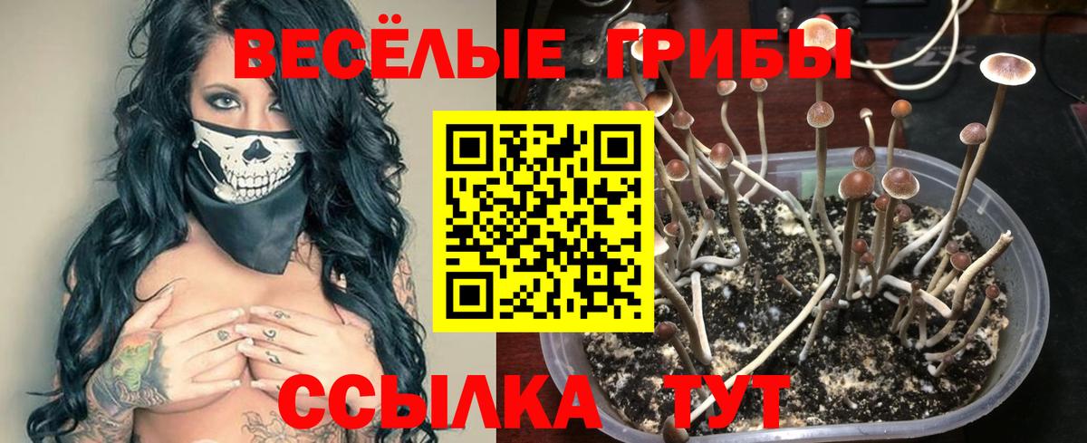 Псилоцибиновые грибы прущие грибы Добрянка
