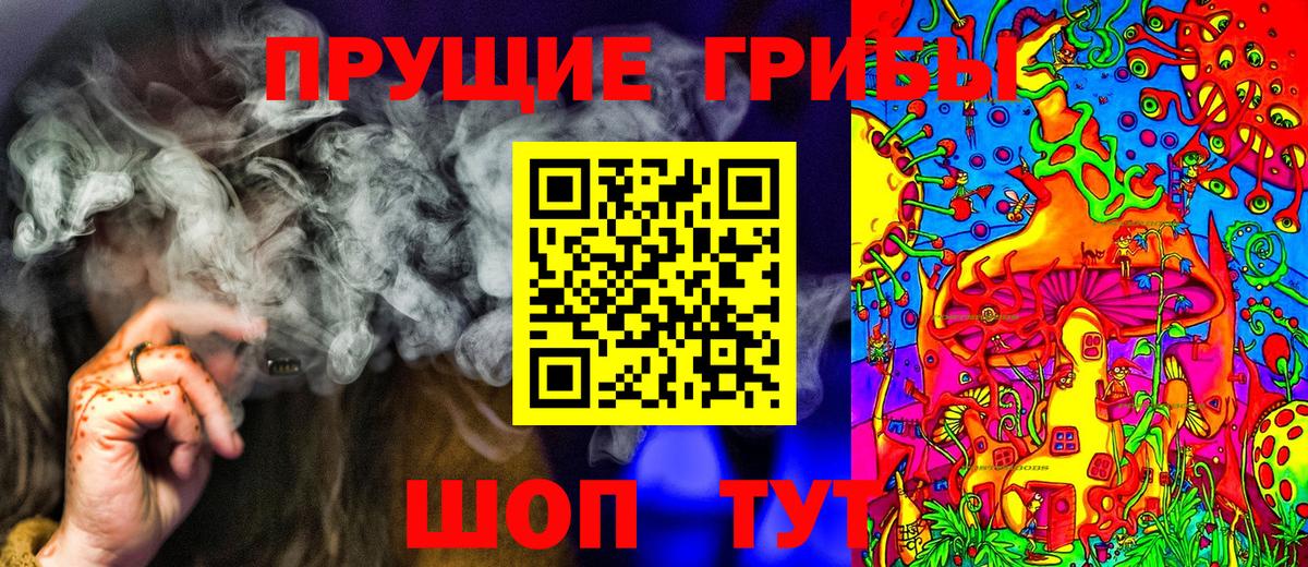 Псилоцибиновые грибы Psilocybine cubensis  Добрянка 