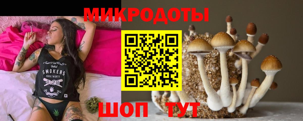 Добрянка  Псилоцибиновые грибы MAGIC MUSHROOMS  Галлюциногенные грибы ЛСД  купить наркотик  Вход с VPN 